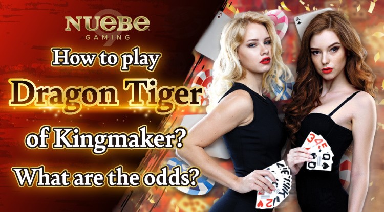 How to play Kingmaker’s Dragon Tiger? What are the odds?