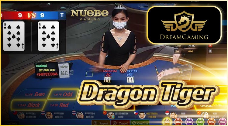 Betting dragon tiger game at Dream Gaming