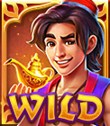 Wild symbol in game