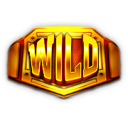 Wild symbol