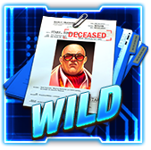 wild symbol in Agent Ace slot