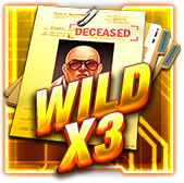 wild symbol 3X