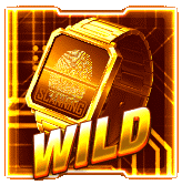 wild symbol type 1